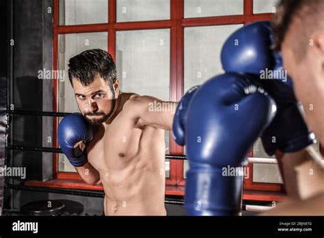 Professional boxers hi-res stock photography and images - Alamy