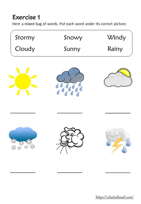 Weather Vocabulary and Worksheets for Grade 1 | Weather worksheets, Weather vocabulary, 1st ...