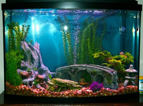 Decor for Fish Tanks Aquarium (With images) | Fish tank themes, Fish tank, Tropical fish tanks