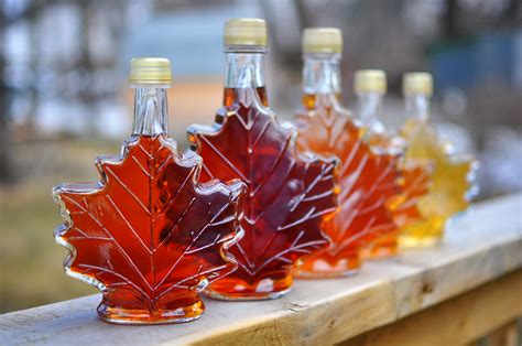 It’s syrup season: Here’s our list of the must-try maple syrup ...