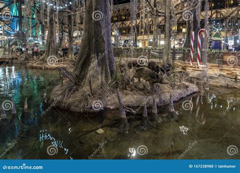 Details Inside the Bass Pro Shop Pyramid Memphis Tennessee Editorial Stock Photo - Image of ...