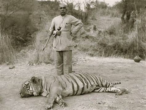 Bengal Tiger Hunting