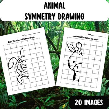 Animal Symmetry Drawing // Animal Symmetry Art with Grid Lines | TPT