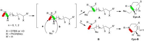 Frontiers | Regioselective ring opening of aziridine for synthesizing azaheterocycle