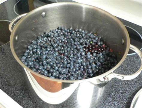 Oregon Grape Jelly Recipe