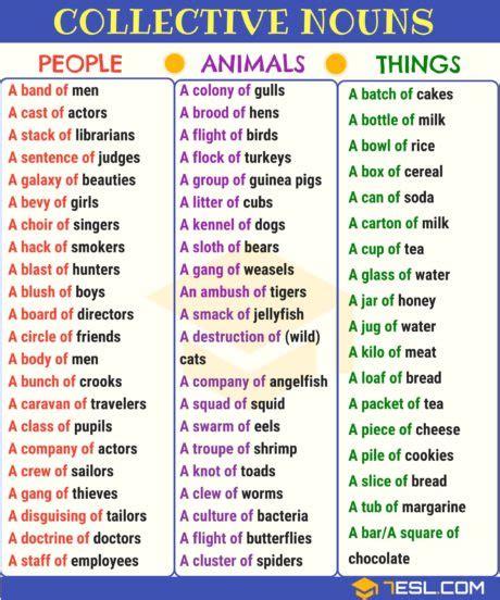 Collective Nouns Examples For Class 3