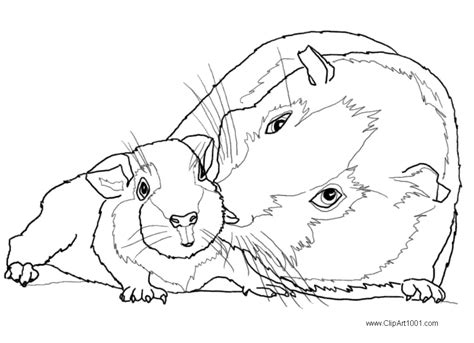 Guinea Pig Coloring Pages Mom and Baby - Free Printable Coloring Pages