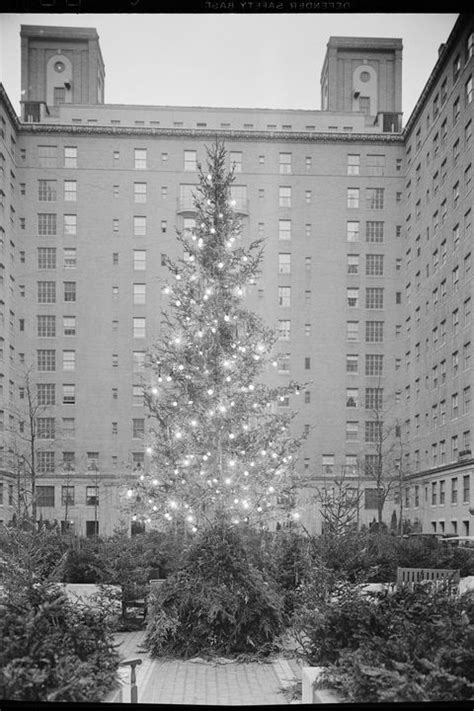 Rockefeller Center Christmas Tree History - Rockefeller Tree Through the Ages