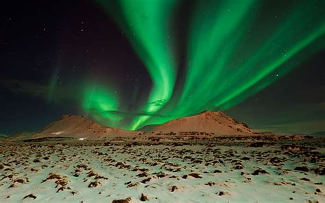 HD wallpaper: scenery of aurora, Siberian huskies with sleigh harnesses walking on snow covered ...