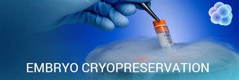 Embryo Cryopreservation | Fertility Specialist in Thane