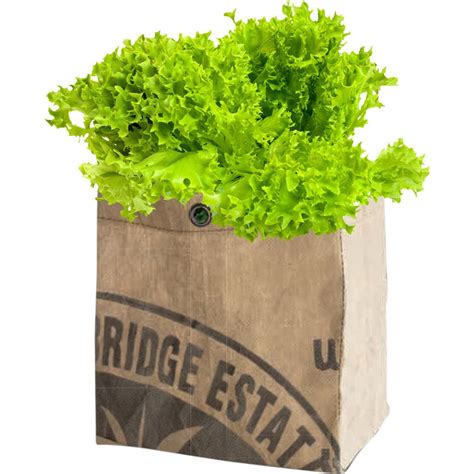 Urban Agriculture Organic Vegetable Grow Kit Lettuce 30300 – Sportique