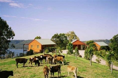 Farm stays near Brisbane for families | Families Magazine