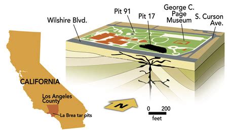 La Brea Tar Pits Map - Maps For You