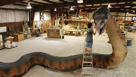 Titanoboa vs Supercroc vs Tyrannosaurus Rex: Battle of the most ...