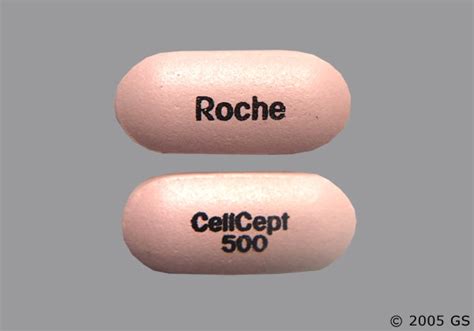 Cellcept Oral Tablet Drug Information, Side Effects, Faqs