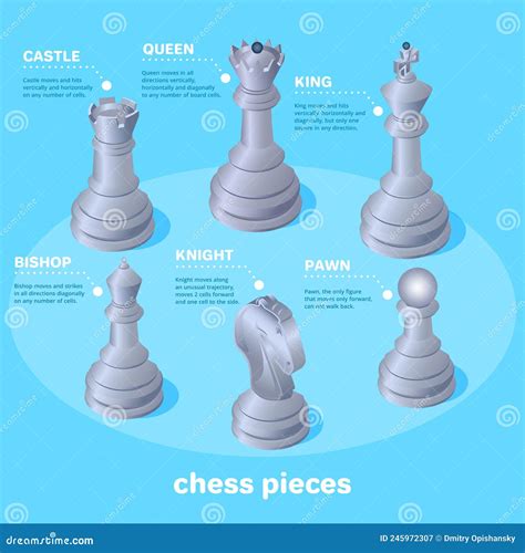 Chess Pieces and Their Names, School of Chess Stock Vector - Illustration of isolated ...