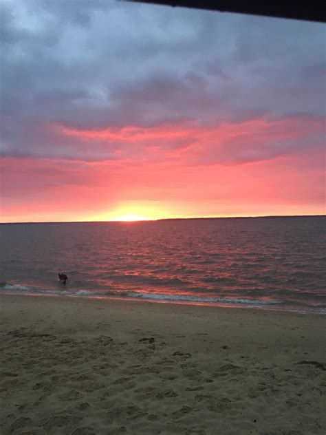 Beachside view from our campsite : r/camping