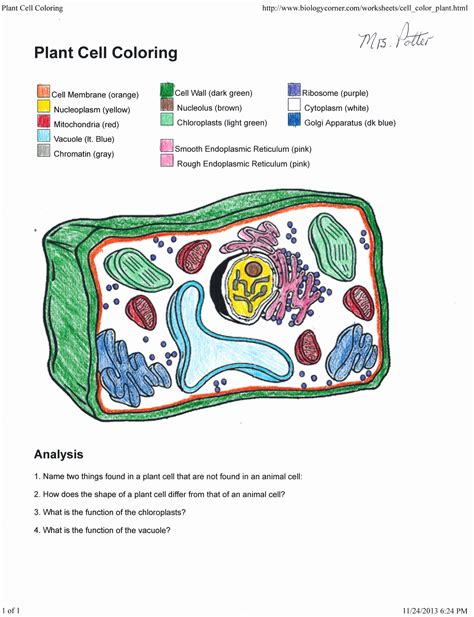 Plant Cell Worksheets