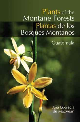 Plants of the Montane Forests – Revue Magazine