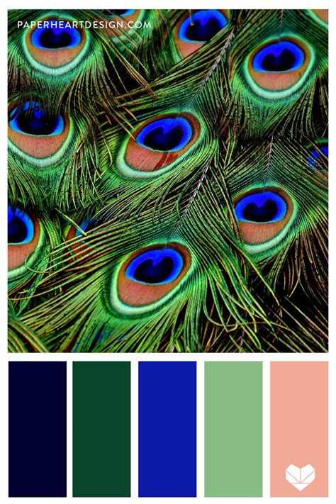 Peacock Green Color Palette