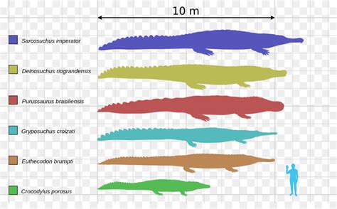 Deinosuchus Sarcosuchus Cá Sấu Kỷ Phấn Trắng Cá Sấu - khổng lồ 1900* ...