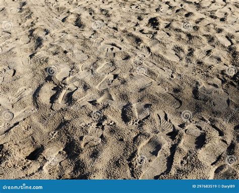 Many Footprints on the Sand at the Beach Stock Image - Image of sand, beach: 297683519