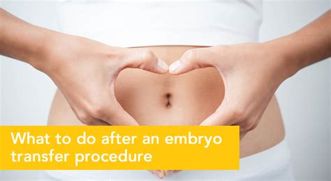 What to do after an Embryo Transfer Procedure?