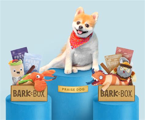 Top 19 Best Dog Subscription Boxes For 2024 (Reviews) - Urban Detox Club