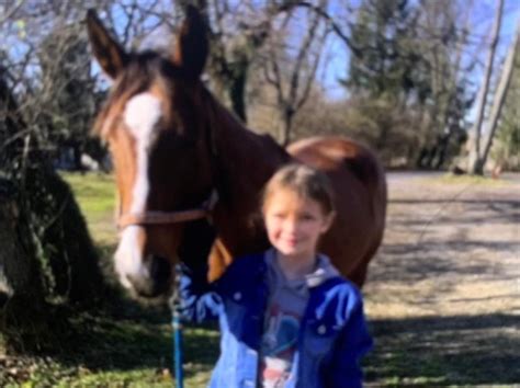 Riding Lessons – Sandy Hill Farm