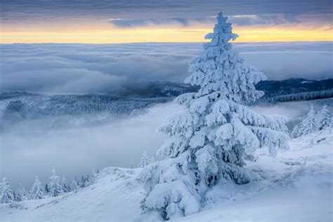 Poland, Winter, Snow, Landscape, Trees, Nature Wallpapers HD / Desktop and Mobile Backgrounds