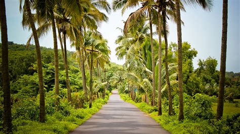 High-Resolution HD Nature Image of Beautiful Village Street in India - HD Wallpapers ...