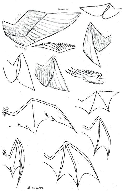 Wing Study by VibrantEchoes on DeviantArt | Wings drawing, Sketches, Dragon drawing