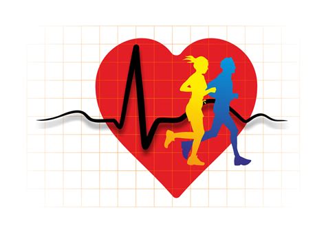 What is the Best Exercise for Your Heart? | Guelph Natural Health Blog