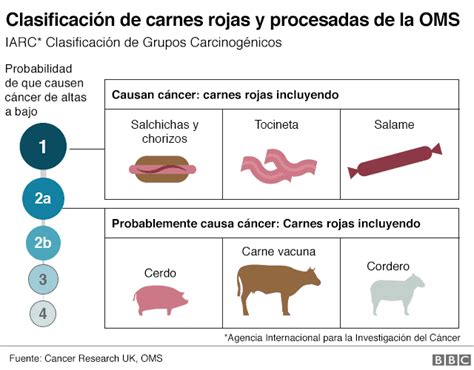 Tipos de Carne