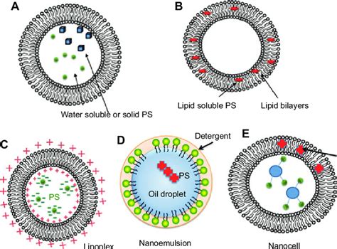 Liposome Vs Lipid Nanoparticle