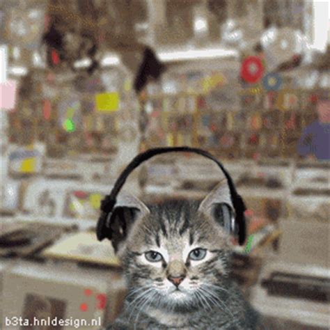 Need animated gif -- techno cat - DVD Talk Forum