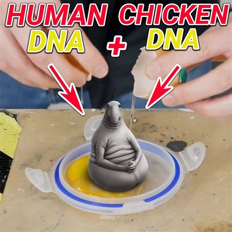 CREATING An HOMUNCULUS EGG! *Don't Ever Try* 🥚🧟 | CREATING An ...