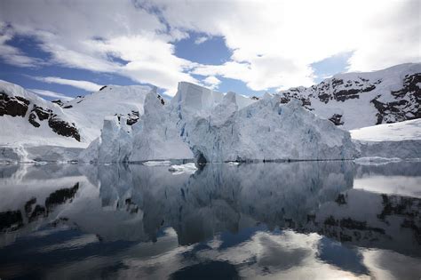 Planning to Travel to Antarctica? 11 Tips to Know Before You Go | Discover by Silversea