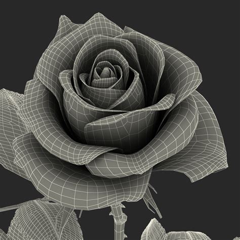 Rose 3D Model 3D Model $39 - .3ds .c4d .max .ma .fbx .obj .usdz .gltf ...