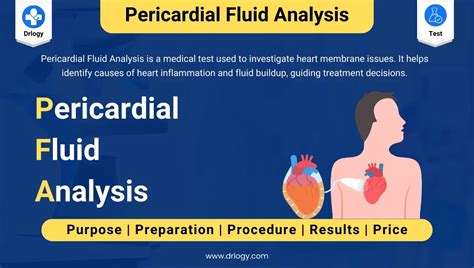 Pericardial Fluid Analysis: Price, Procedure & Results - Drlogy