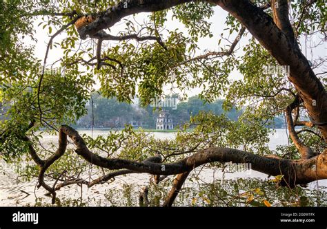 Turtle tower on the Hoan Kiem Lake (Ho Guom) with green trees in Hanoi, Vietnam Stock Photo - Alamy