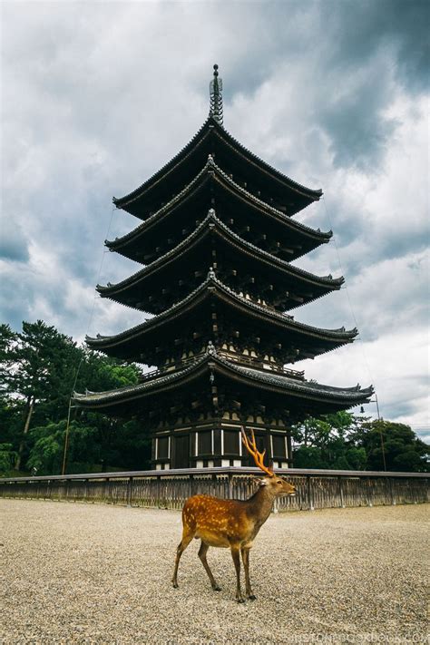 Nara Guide: Historical Nara Temples and Shrine | Historical temples, Nara, Historical