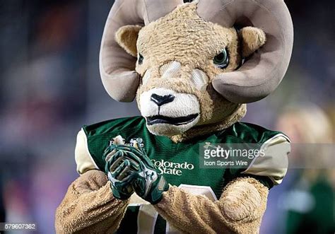 162 Colorado State Rams Mascot Stock Photos, High-Res Pictures, and ...