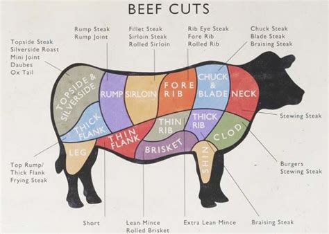 Teres Major Beef Diagram - Wiring Diagram Pictures