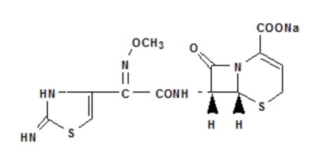 Ceftizoxime description - wikidoc