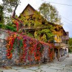 Dilijan National Park in Armenia | Wildlife Worldwide