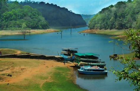 Book Tickets Online | Official Website of Periyar Tiger Reserve Thekkady | Online Bookings for ...