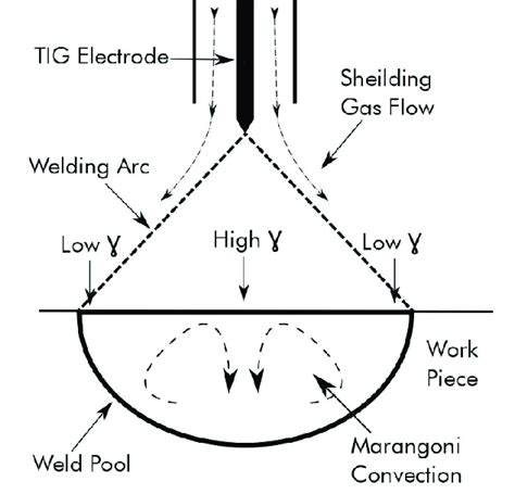 Ideal Marangoni convection for deep penetration welding. | Download Scientific Diagram