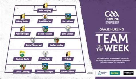 GAA.ie Hurling Team of the Week