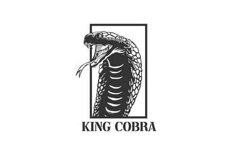 Vintage Retro Poisonous King Cobra or Black Mamba Snake Reptile Head ...